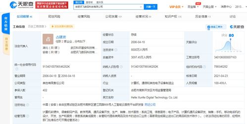 訊飛數(shù)碼注冊資本激增115.38%，軟硬件布局再提速