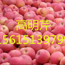 山東農(nóng)副產(chǎn)品購銷處 油料及農(nóng)副產(chǎn)品的專業(yè)化收購服務(wù)