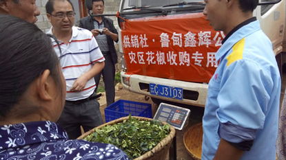 云南省供銷合作社系統(tǒng)迅速響應(yīng)，全力破解魯?shù)榈卣馂?zāi)區(qū)花椒銷售與油料及農(nóng)副產(chǎn)品收購難題